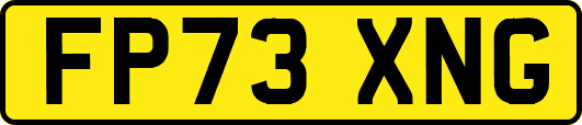 FP73XNG