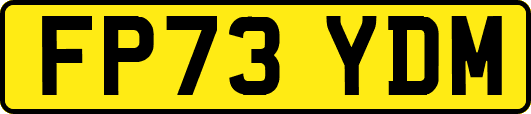 FP73YDM