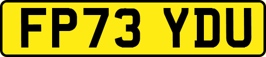 FP73YDU