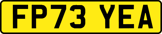 FP73YEA