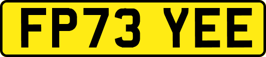 FP73YEE