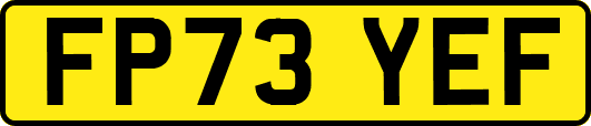 FP73YEF