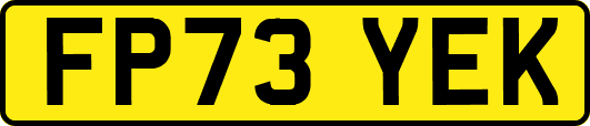 FP73YEK