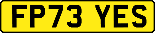 FP73YES