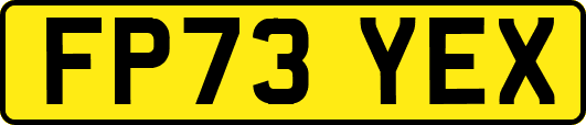 FP73YEX
