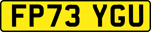 FP73YGU