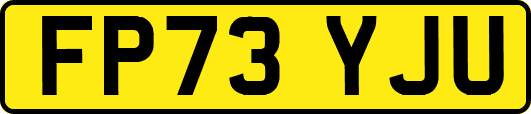 FP73YJU