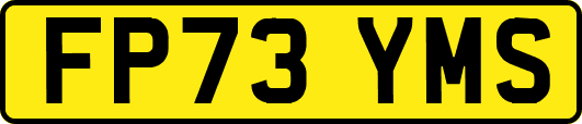 FP73YMS