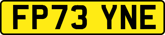 FP73YNE