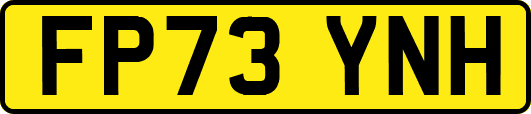 FP73YNH