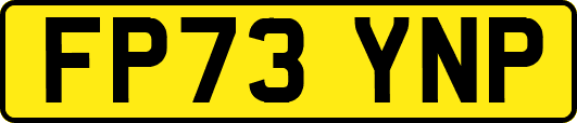 FP73YNP