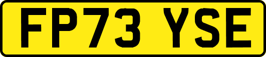 FP73YSE