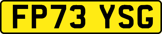 FP73YSG