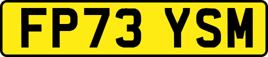 FP73YSM