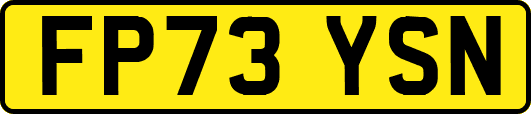 FP73YSN