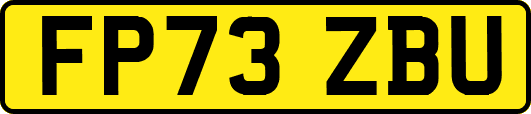 FP73ZBU