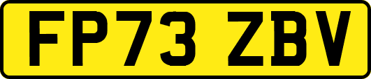 FP73ZBV