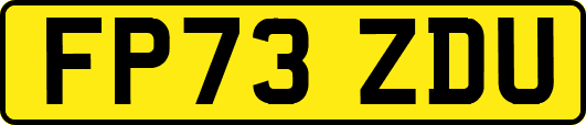 FP73ZDU