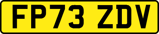FP73ZDV