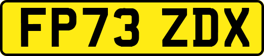 FP73ZDX