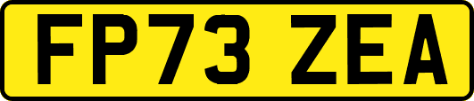 FP73ZEA