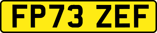 FP73ZEF