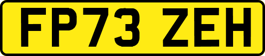 FP73ZEH