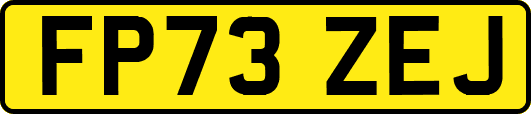 FP73ZEJ
