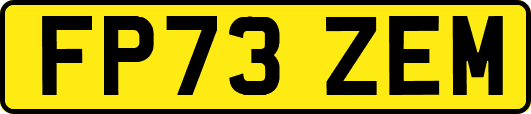 FP73ZEM