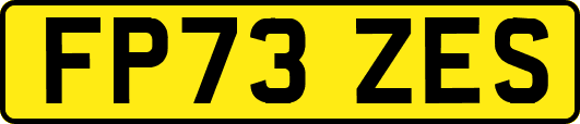 FP73ZES