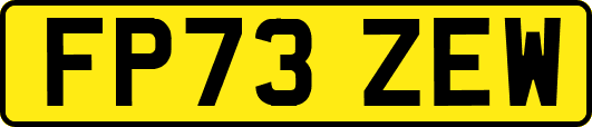 FP73ZEW