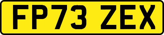 FP73ZEX