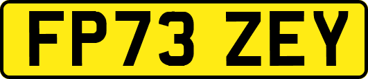 FP73ZEY