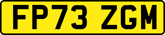 FP73ZGM