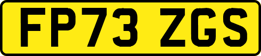 FP73ZGS
