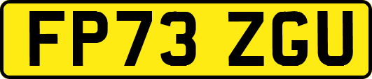 FP73ZGU