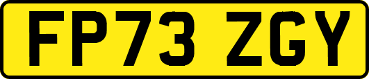 FP73ZGY