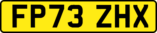 FP73ZHX
