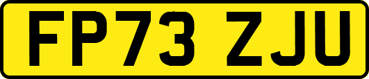 FP73ZJU