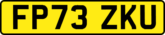 FP73ZKU