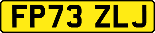 FP73ZLJ