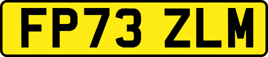FP73ZLM