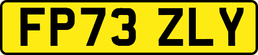 FP73ZLY