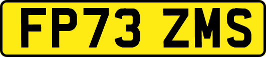 FP73ZMS