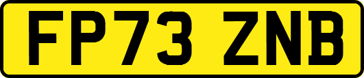 FP73ZNB