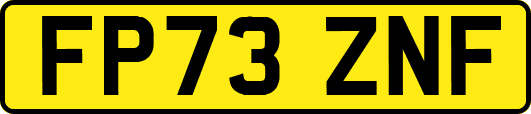 FP73ZNF