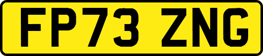 FP73ZNG