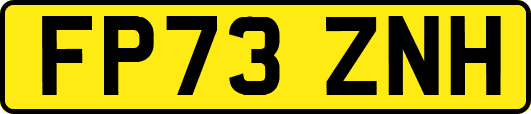 FP73ZNH