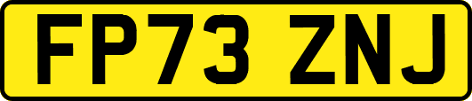 FP73ZNJ