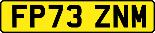 FP73ZNM